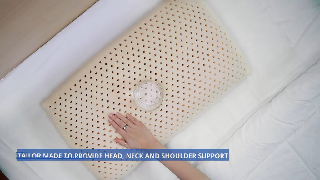 MoltyFoam UAE